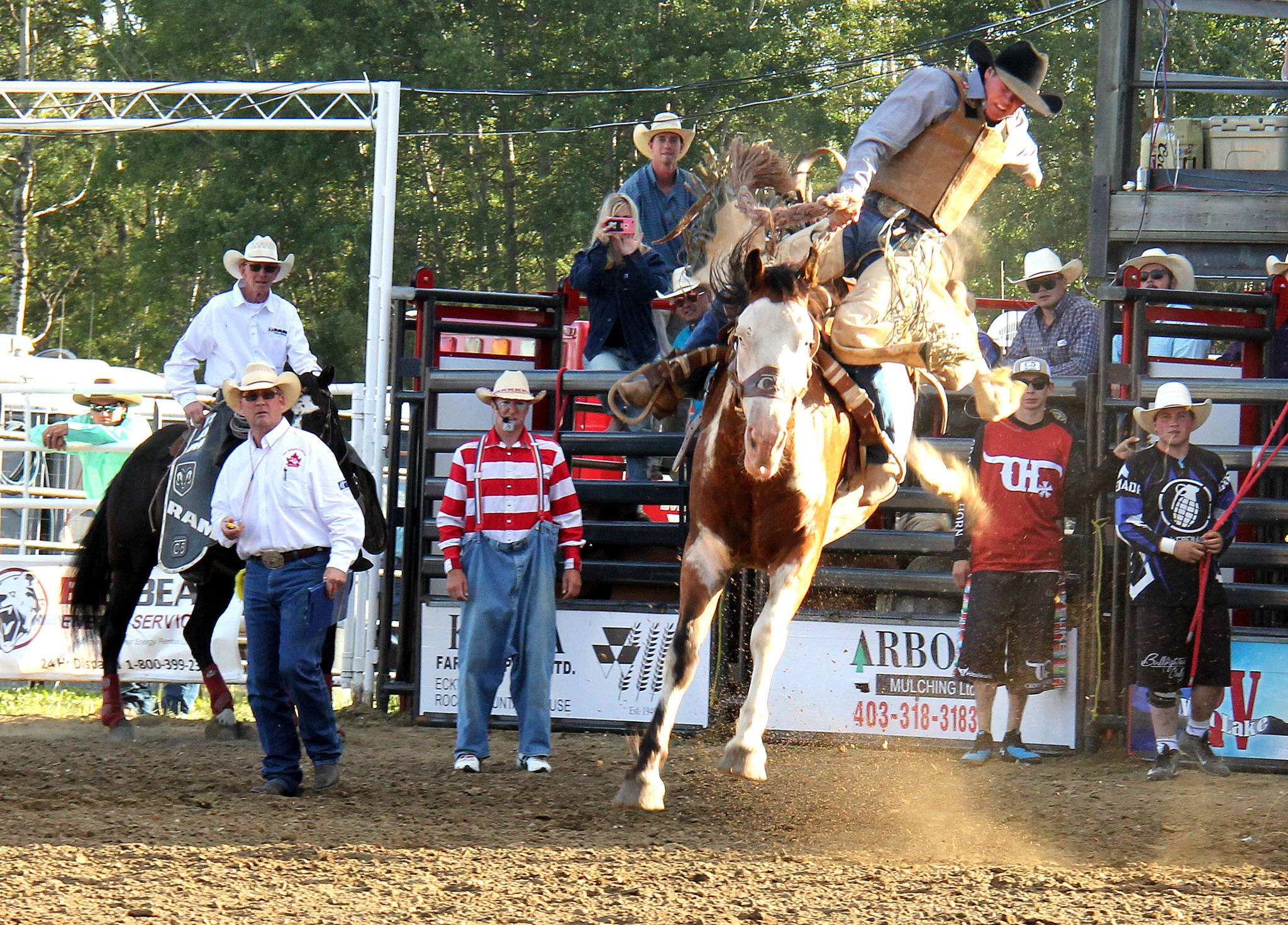 Jake Burwash hangs on for as long as he can during the novice saddle bronc event at the Benalto Stampede July 5-8. Photo by Megan Roth/Sylvan Lake News