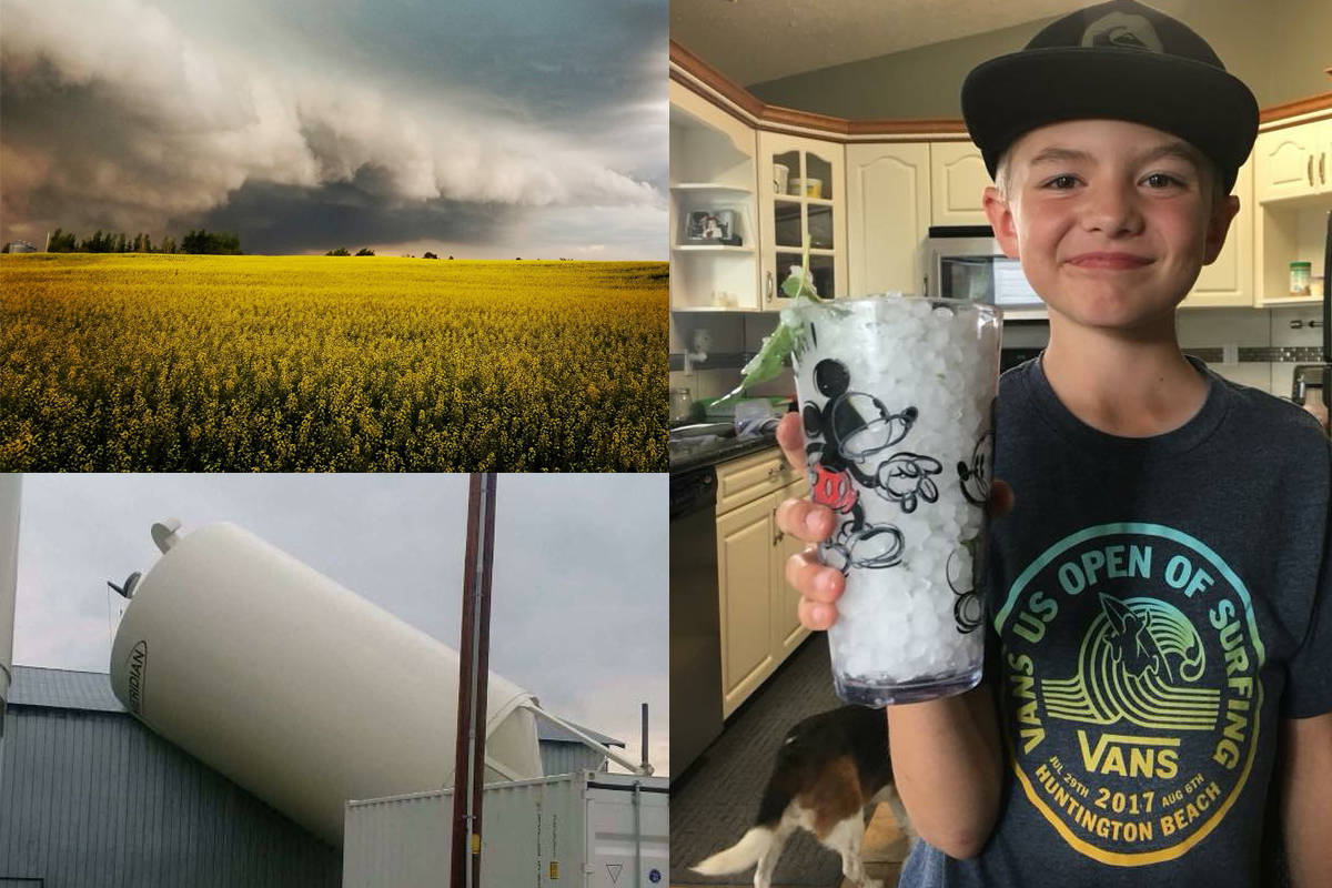 Kingston Schultz, eight, collected hail from his Lacombe backyard Friday. Photo supplied