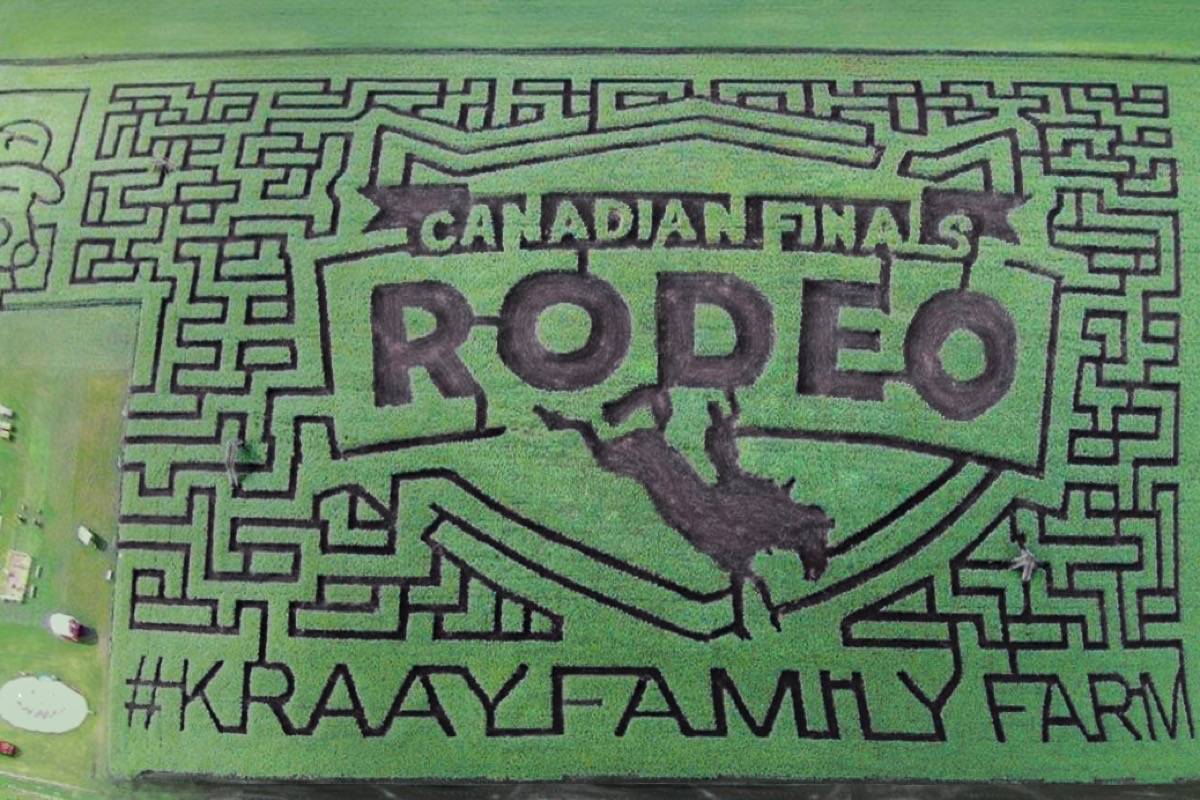 Lacombe Corn Maze celebrates CFR 45