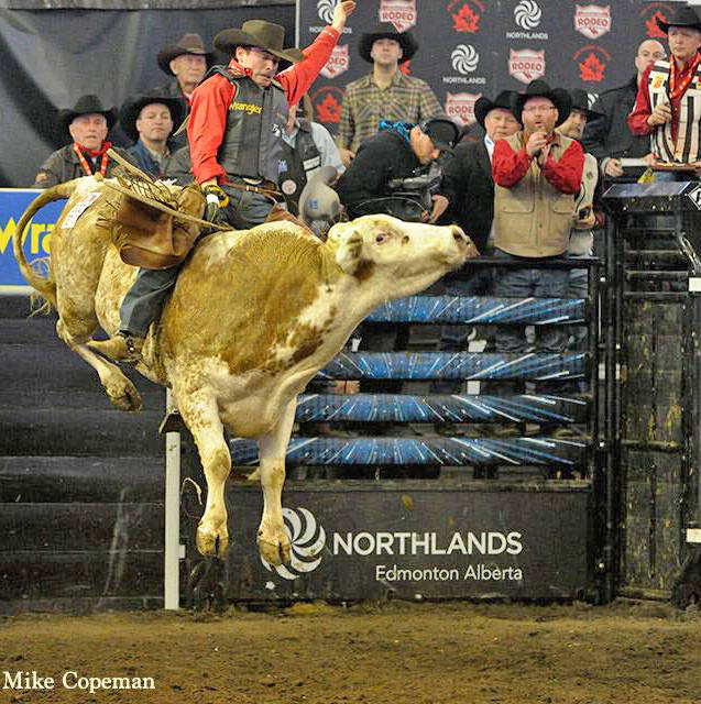 Canadian Champion Bullrider Scott Schiffner announces his retirement. (CPRA photo by Mike Copeman)