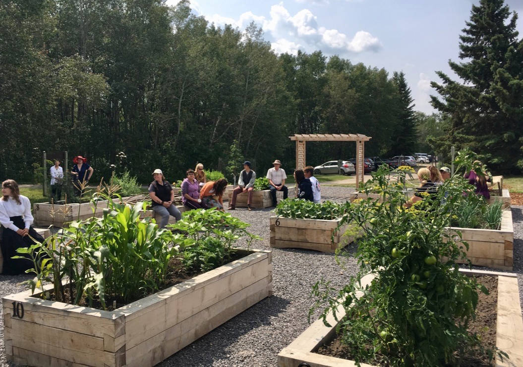 Through the Planting for People program, an ‘Accessible Heritage Community Garden’ has been set up at Fort Normandeau. Organizers say the program provides an opportunity for clients to gain employment readiness skills and connect with their community.                                Mark Weber/Red Deer Express