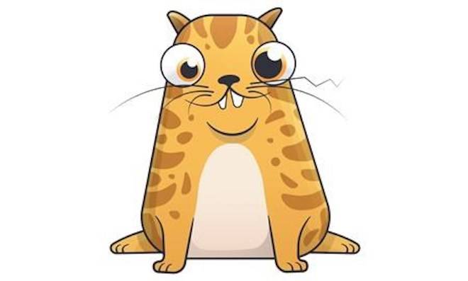 At first glance, CryptoKitties, shown in a handout, are googly-eyed virtual cats that come in an array of fanciful forms - from fluffy ninjas, to feline-duck hybrids. But don’t underestimate these collectible critters, because some CryptoKitties have commanded six figures on the virtual market, and the B.C.-based company behind the project says it’s attracted more than US$12 million in investments.THE CANADIAN PRESS/HO-CryptoKitties MANDATORY CREDIT