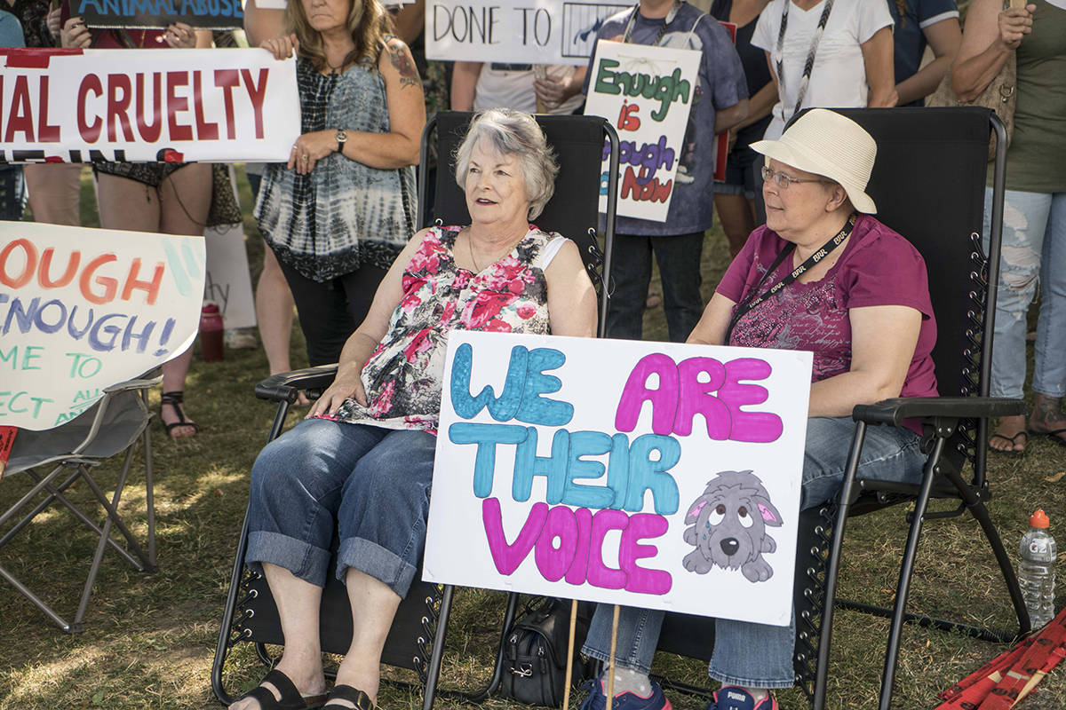 VIDEO: Advocates rally against woman who had eight dogs in Alberta hotel room