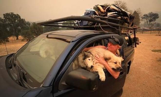 Crystal Easter, of Spring Valley, comforts her dogs, Monday, Aug. 6, 2018, in Spring Valley, Calif., as they flee a wildfire. This is the second time this year Easter has had to evacuate. (Kent Porter/The Press Democrat via AP)