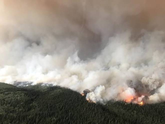 Logging company employee dies working Nanaimo wildfire