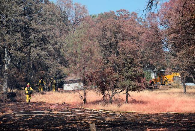 Local firefighters help provide structure and property protection along Oak Drive and Buck Mountain Road during a vegetation fire which burned one structure and several acres of land., Sunday, Aug. 12, 2018, near Alta Sierra, Calif. (Elias Funez/The Union via AP)