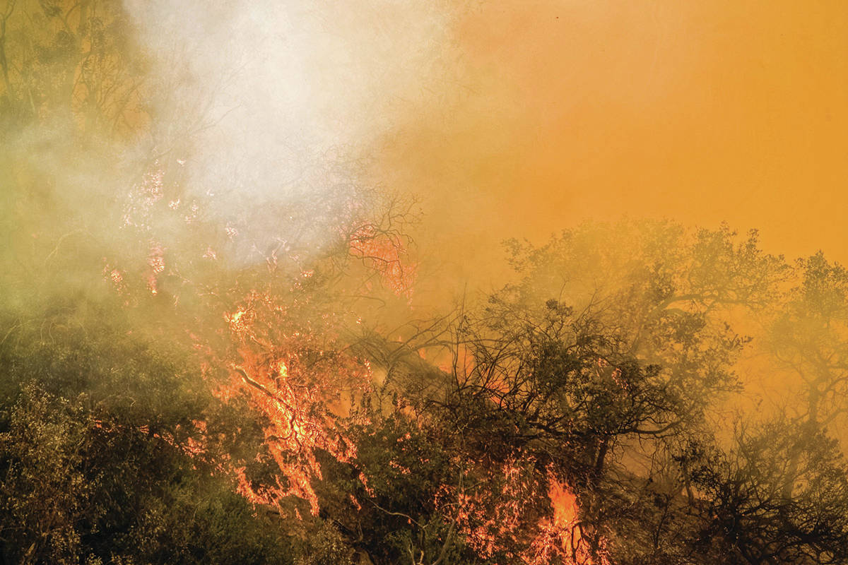 Red Cross now accepting donations for those impacted by B.C. wildfires