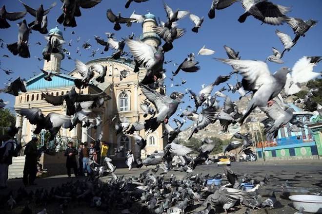 Muslims celebrate Eid al-Adha as pilgrims conduct hajj rites