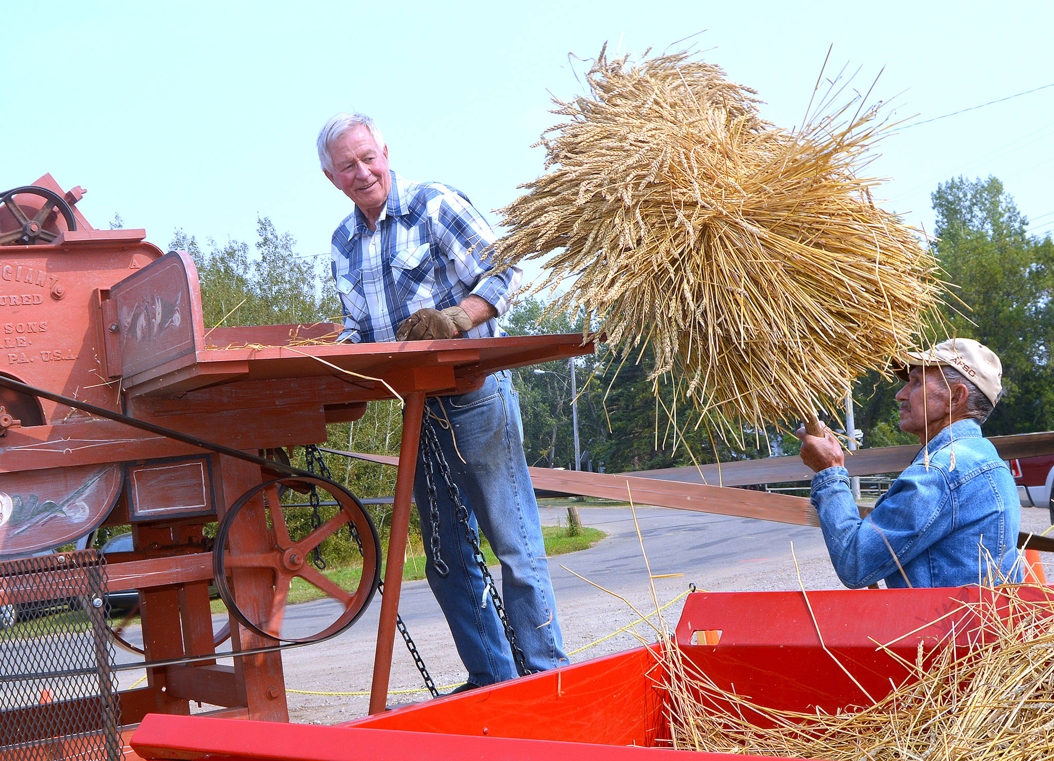 Wilf Buehler uses a pitch fork to load the 1887 thrashing machine operated by Dave McCourt during P & H Elevator Preservation Society’s annual fall supper Aug. 5. (Lisa Joy/Black Press)