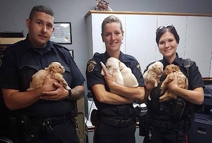 Members of the Rivers Police Service hold puppies that they rescued in a handout photo from the police service’s Facebook page. After being called to home on Tuesday, officers were alerted to a situation where five puppies, four male and one female, were trapped in an underground tunnel that was dug out by the mother. THE CANADIAN PRESS/HO-Facebook-Rivers Police Service