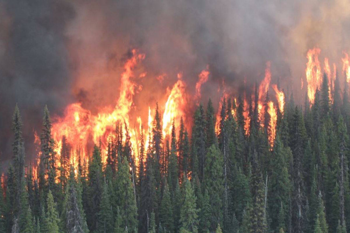 Worst may almost be over for 2018 B.C. wildfire season