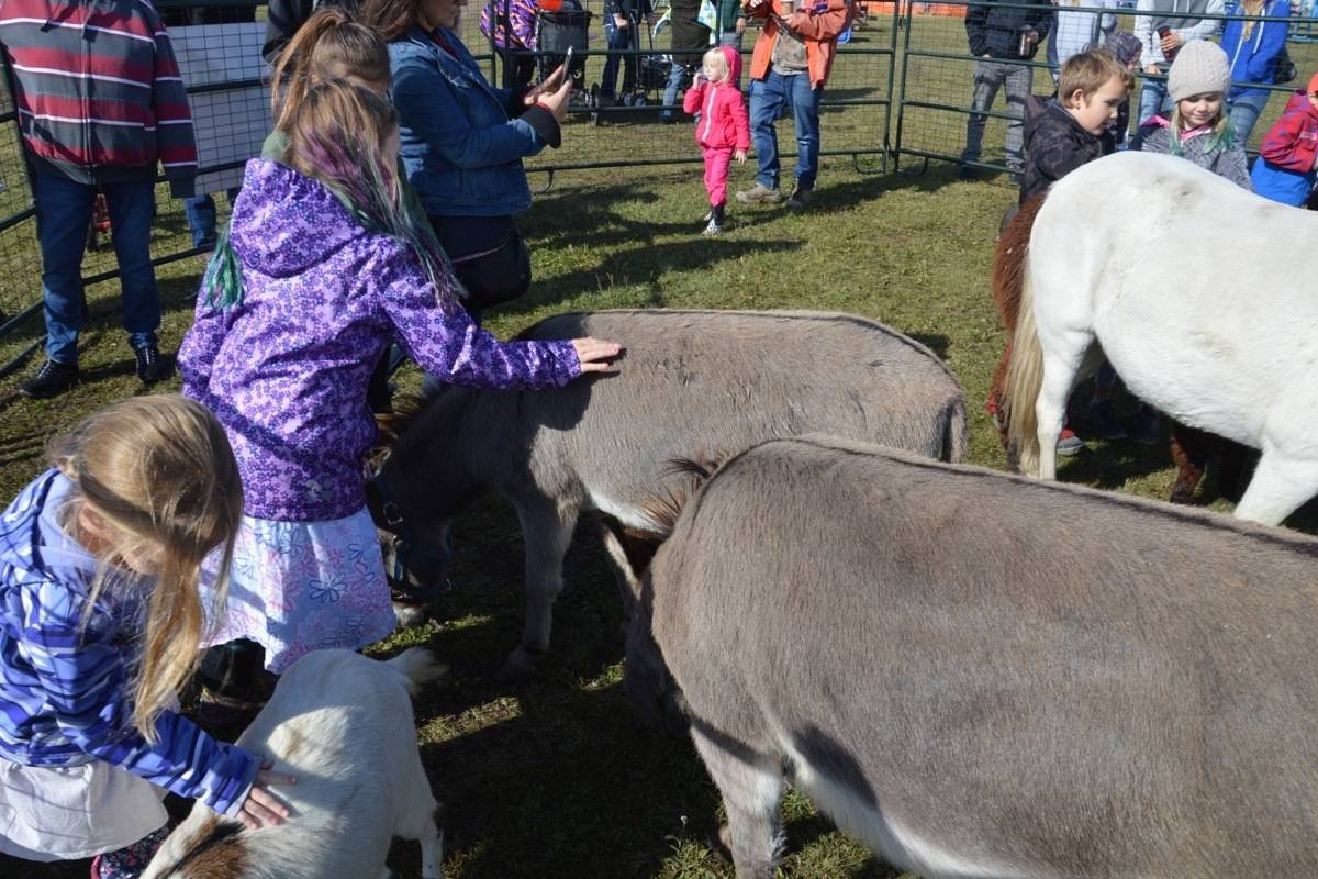 42nd annual Lakedell Country Fair