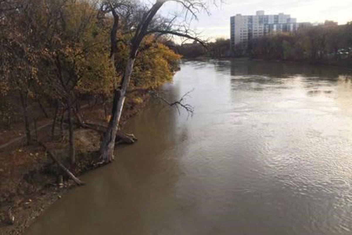 ‘It’s pretty embarrassing:’ Winnipeg aims to put less poop in river