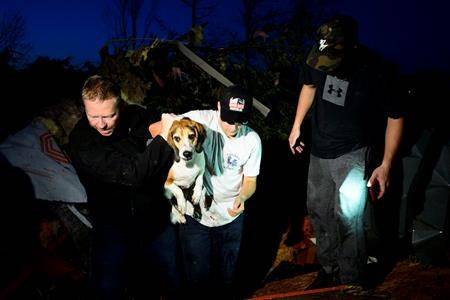 ‘A little bright spot:’ Ottawa residents rescue dog trapped beneath rubble
