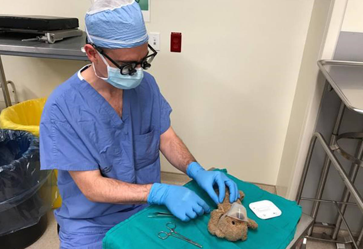 Canadian surgeon sews up favoured teddy bear after boy’s operation