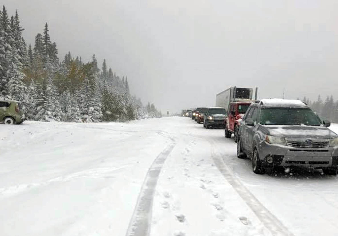 VIDEO: World-famous trumpeter entertains drivers stranded on Highway 1