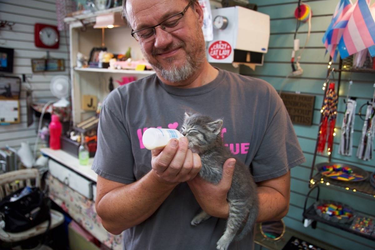 Peter Vruwink, vice president of Whisker Rescue, feeds three-month-old Scooter from a bottle during an event that raised awareness about the number of stray cats in the City and the importance of spaying and neutering. The event took place at the home decor store Junktiques on Friday. Robin Grant/Red Deer Express