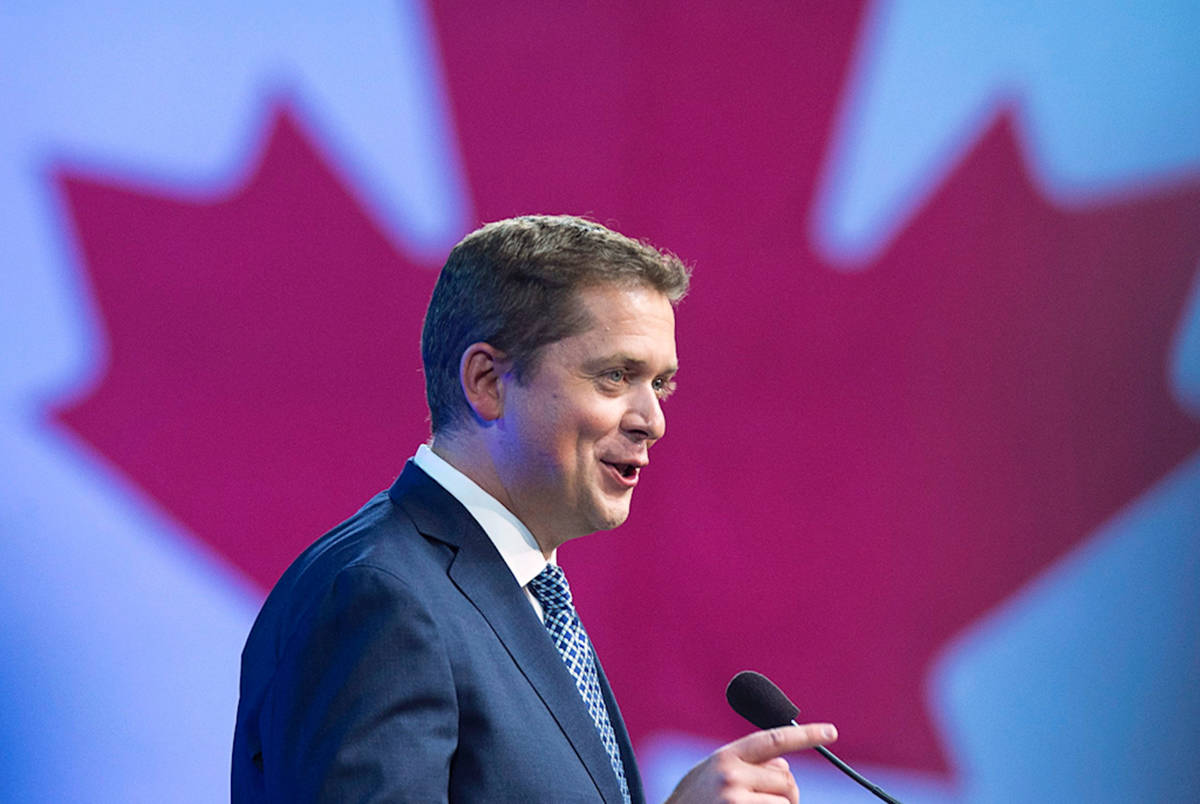 Andrew Scheer. (The Canadian Press)