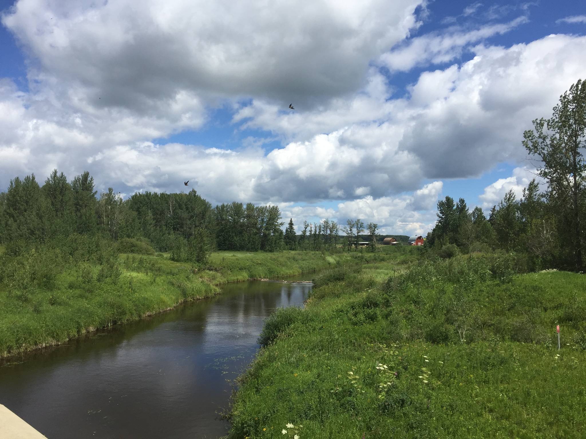 An open house was held at the Abbey Centre in Blackfalds to discuss the need for restoration work to improve the ecosystem and health of the river. Photo Submitted by AWES