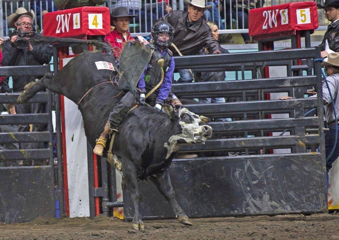 Red Deer’s Carter Sahli competes in the junior steer riding competition on Day 3 of the Canadian Finals Rodeo. Robin Grant/ Red Deer Express