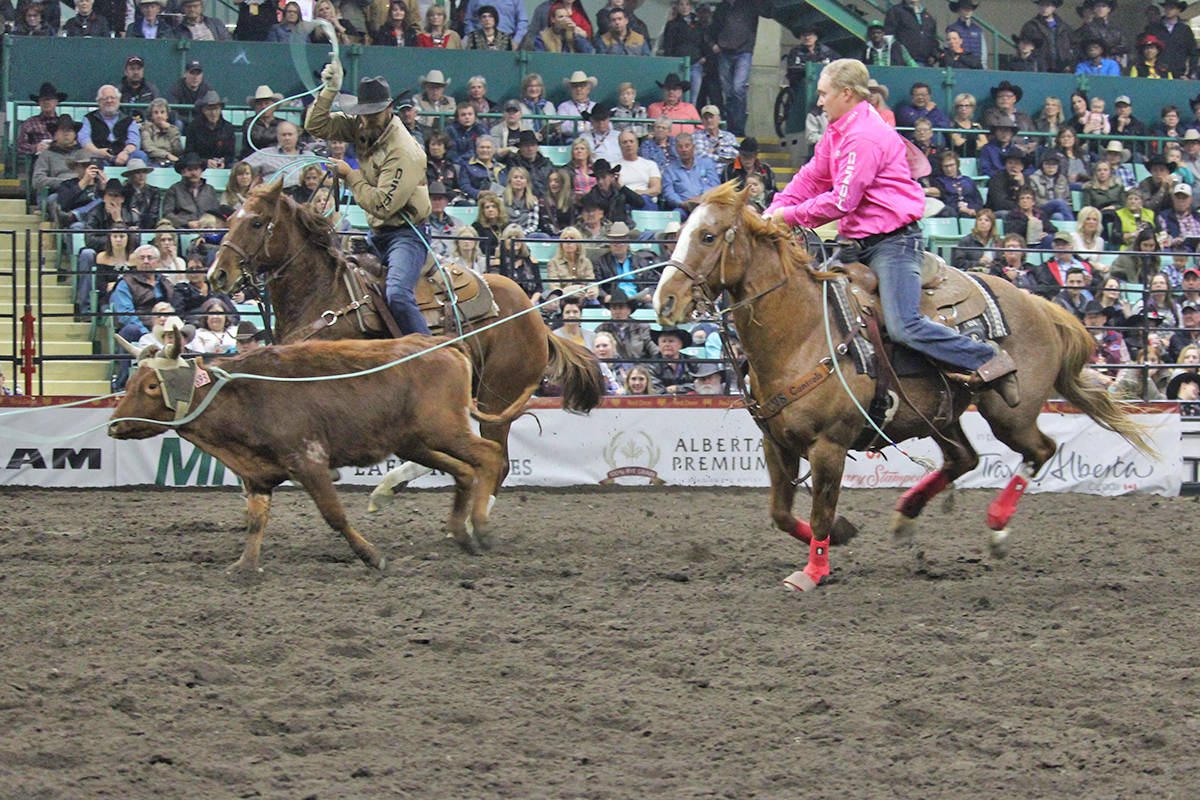 Levi Simpson and Jeremy Buhler were the dream team, placing first in the team roping at the Canadian Finals Rodeo. Carlie Connolly/Black Press News Services
