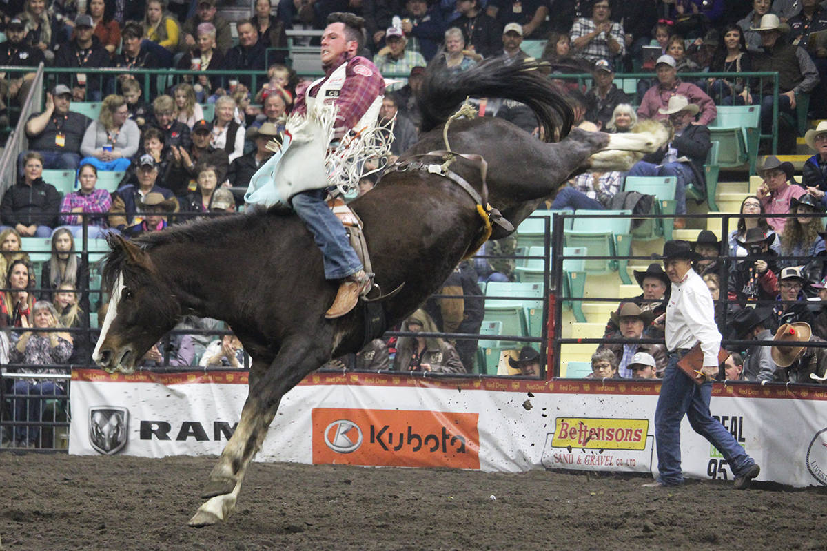 Texas’s Richmond Champion placed first in the Bareback Riding at the Canadian Finals Rodeo. Carlie Connolly/Black Press News Services                                 Texas’s Richmond Champion placed first in the Bareback Riding at the Canadian Finals Rodeo. Carlie Connolly/Black Press News Services