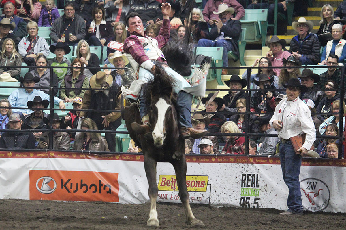Texas’s Richmond Champion placed first in the Bareback Riding at the Canadian Finals Rodeo. Carlie Connolly/Black Press News Services                                 Texas’s Richmond Champion placed first in the Bareback Riding at the Canadian Finals Rodeo. Carlie Connolly/Black Press News Services