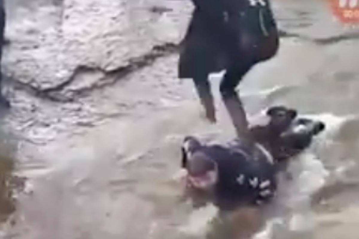 A screenshot taken from a video posted to Facebook shows kids walking over 14-year-old Brett Corbett, lying in a stream. (Facebook)