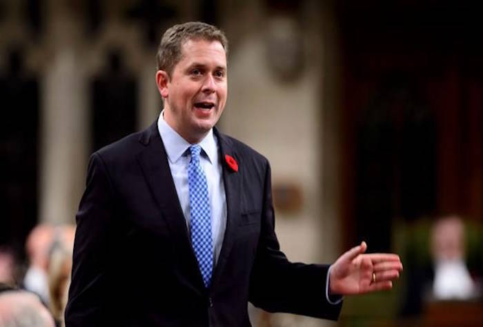 Conservative Leader Andrew Scheer stands during question period in the House of Commons on Parliament Hill in Ottawa on Wednesday, Nov. 7, 2018.THE CANADIAN PRESS/Sean Kilpatrick