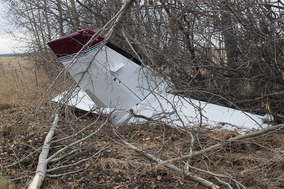A small plane crashed into a field east of Ponoka on Nov. 13 in the evening. It appears the plane crash-landed and then slid into a copse of trees before fully stopping. The plane lost its tail in the crash and had damage to its propellors and a few other areas.                                 Photo by Jeffrey Heyden-Kaye