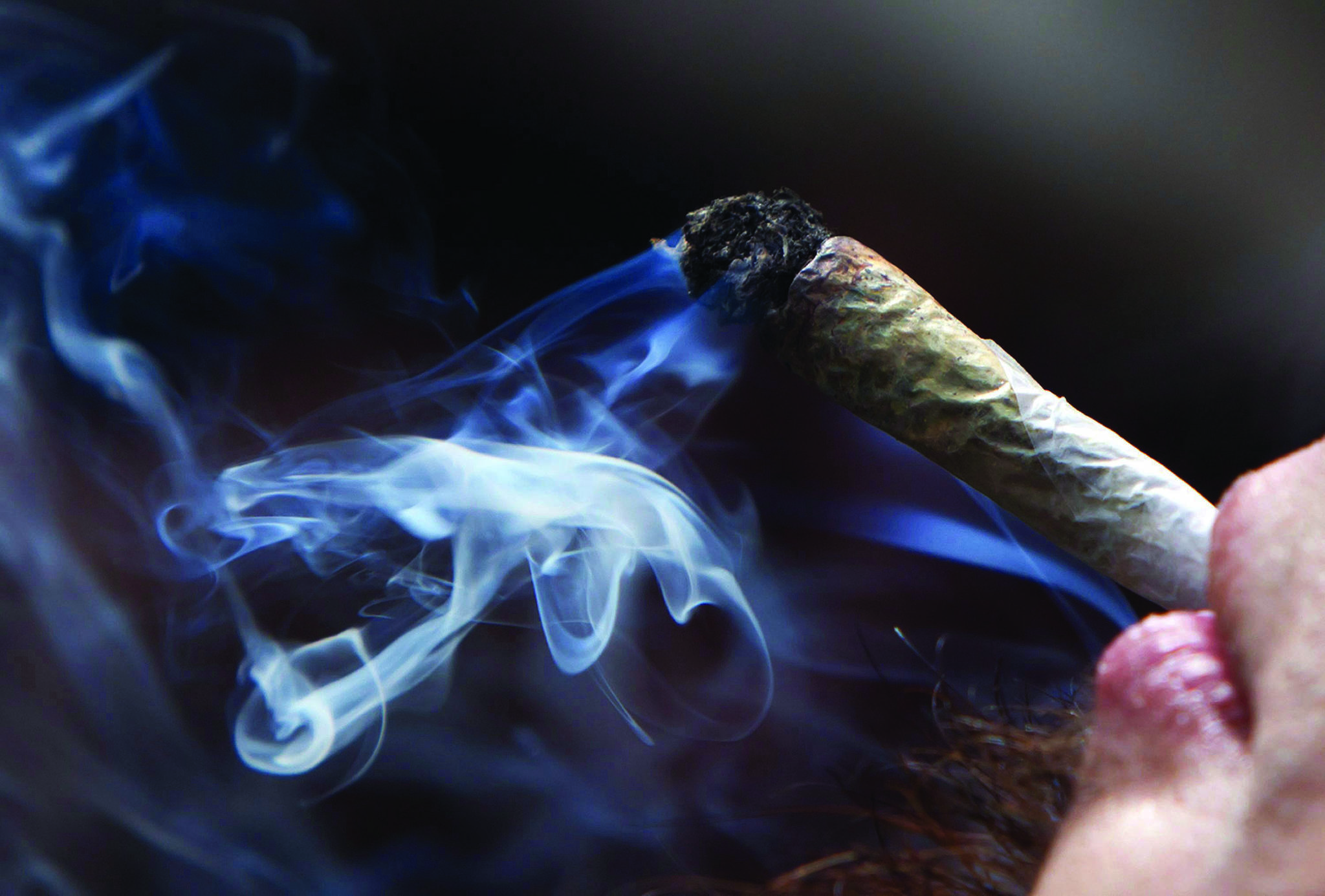 The majority of cannabis users smoke the drug, as opposed to eating or vaping it, a Statistics Canada survey has found. (Darryl Dyck /The Canadian Press)
