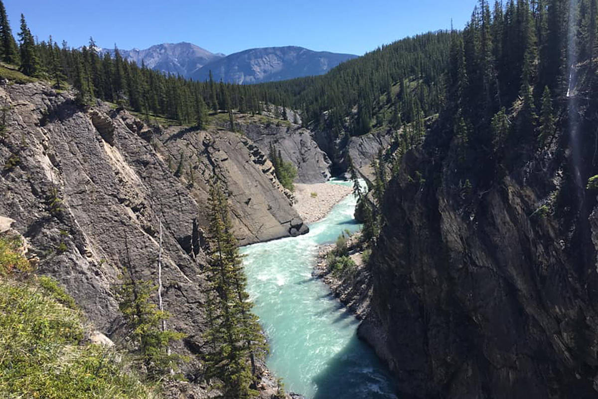 Alberta Environment and Parks seeks feedback from Albertans over Bighorn Country. Proposals include ways to conserve the natural landscape while also developing tourism. Surveys can be filled out online. These photos were taken in the Cline River area by reader Keith Clarke.                                Photos courtesy of Keith Clarke