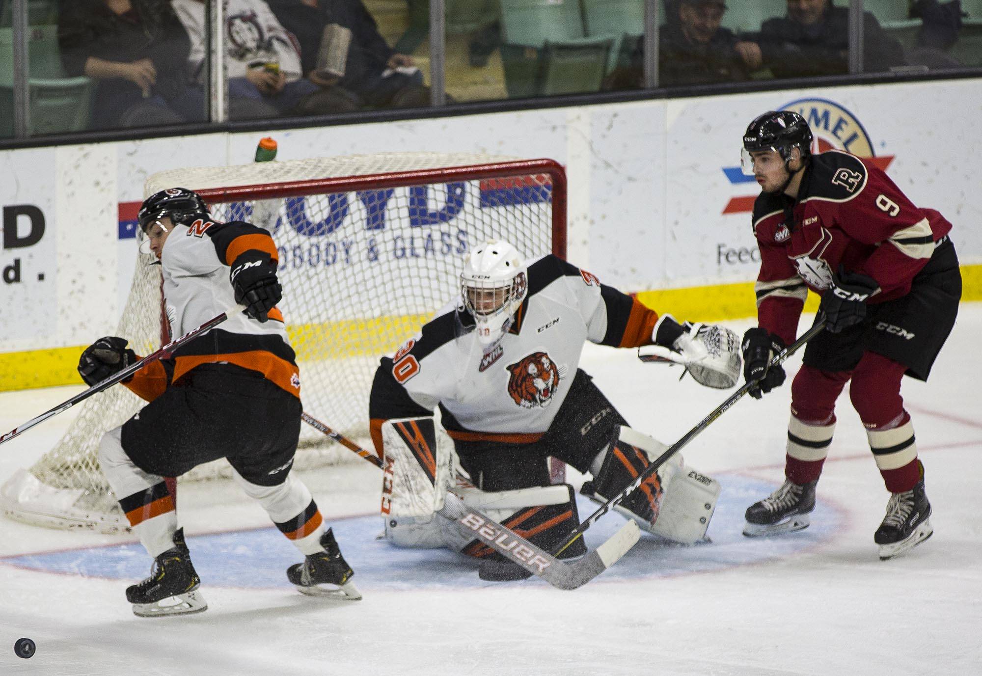 The Rebels fell to the Medicine Hat Tigers, 7-3, Saturday ending their five-game winning streak. Robin Grant/Red Deer Express