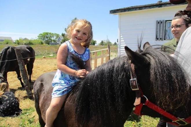 MaCali Cormier is shown in this undated handout photo. The four-year-old girl who died in a tragic accident at a Christmas parade is being remembered as a child who “loved helping other people” and had a passion for learning. MaCali Cormier died Saturday night after she fell under the wheels of a float during the annual Parade of Lights in Yarmouth, N.S. THE CANADIAN PRESS/HO - Cormier Family