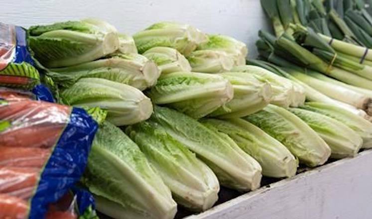 Romaine lettuce is seen at market in Montreal on Thursday, November 22, 2018. THE CANADIAN PRESS/Paul Chiasson