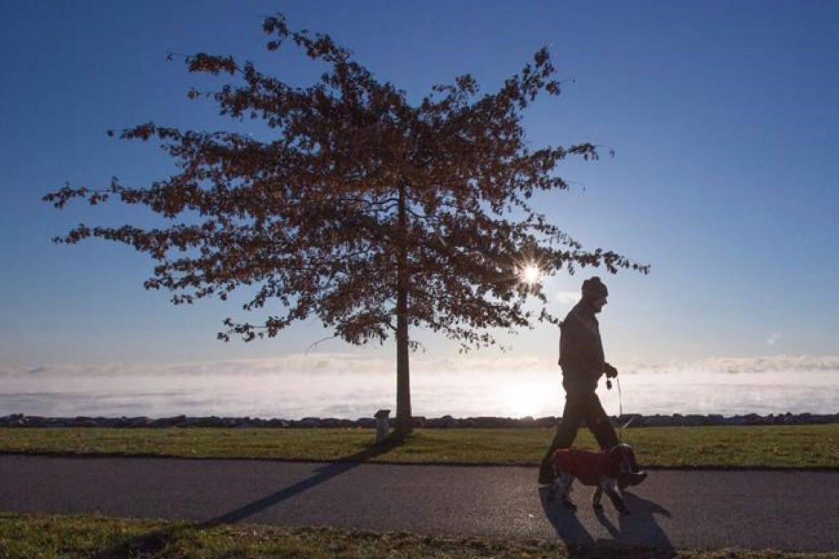 Most Canadian cities have yet to assess the threat posed by climate change despite being the level of government most exposed to the dangers, says a new study. A man walks a dog as mist rises from Lake Ontario during a winter cold snap in Kingston, Ont., on Thursday, Nov. 22, 2018. (Lars Hagberg/The Canadian Press)