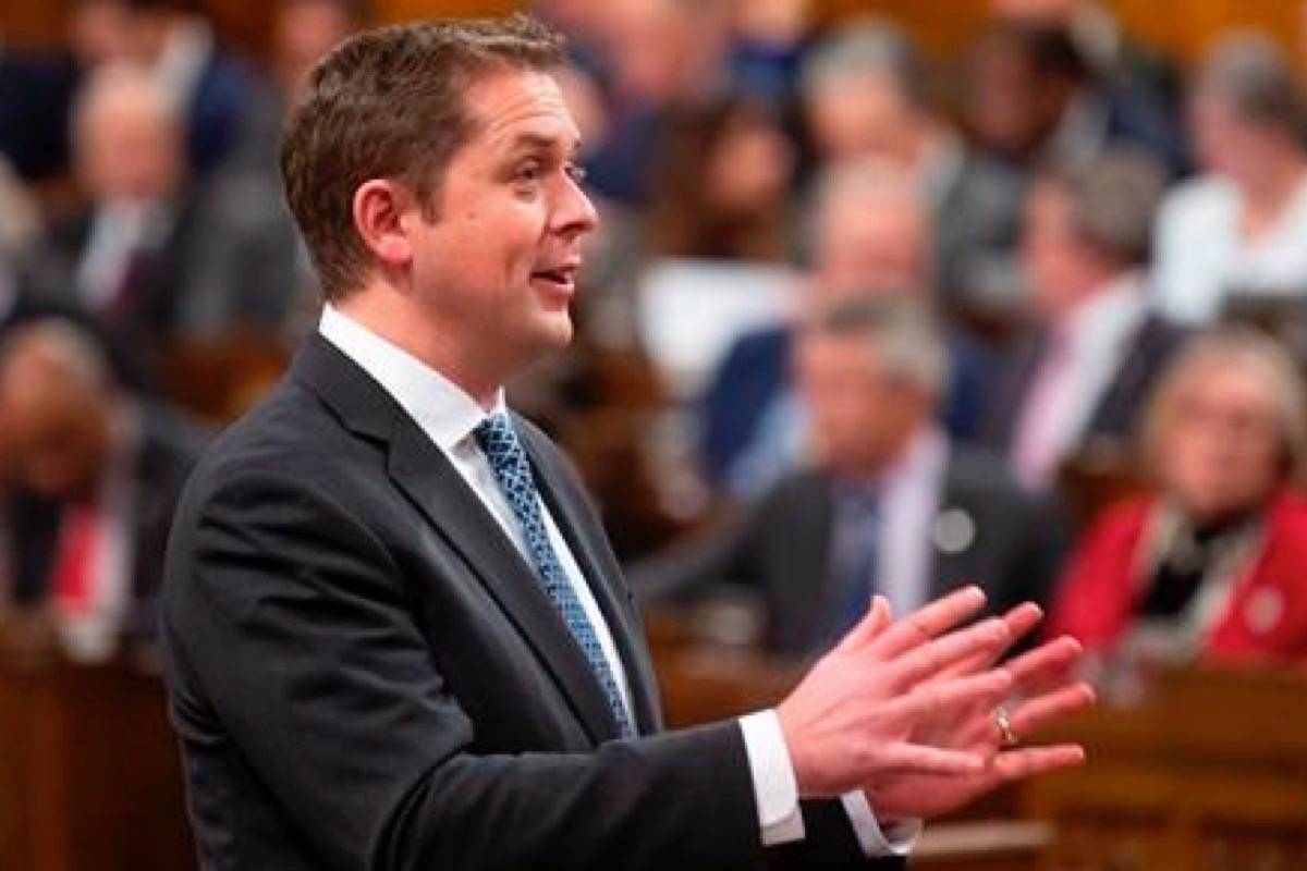 Leader of the Opposition Andrew Scheer rises during Question Period in the House of Commons Wednesday, November 28, 2018 in Ottawa. (THE CANADIAN PRESS/Adrian Wyld)