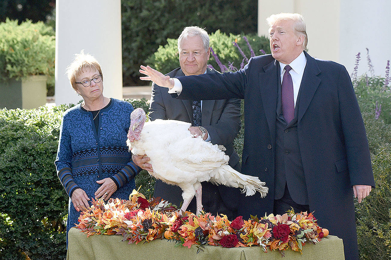 President Donald Trump pardons "Peas" from South Dakota at the National Thanksgiving Turkey pardoning ceremony in the Rose Garden of the White House on Tuesday, Nov. 20, 2018 in Washington, D.C. (Olivier Douliery/Abaca Press/TNS