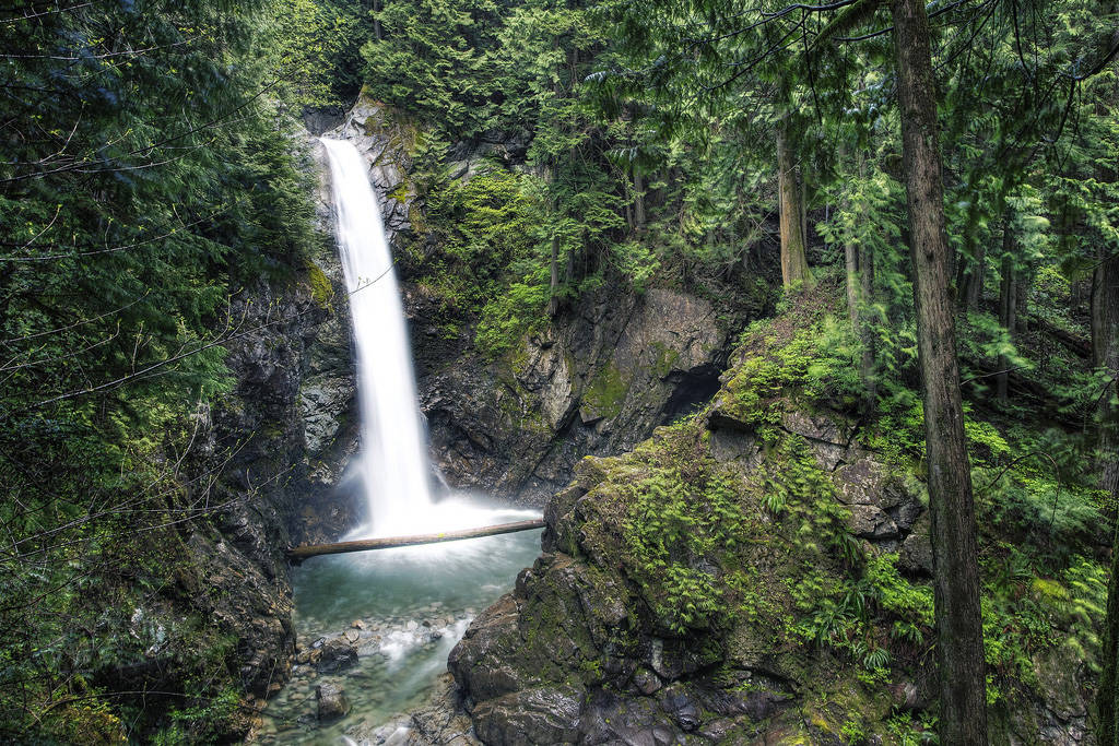 Cascade Falls Regional Park