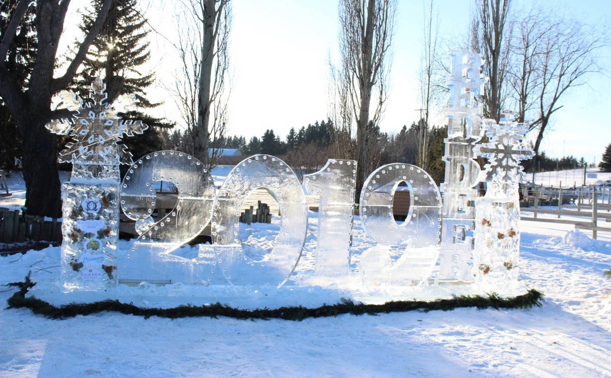 Ice sculptures now on display at Parkland Garden Centre