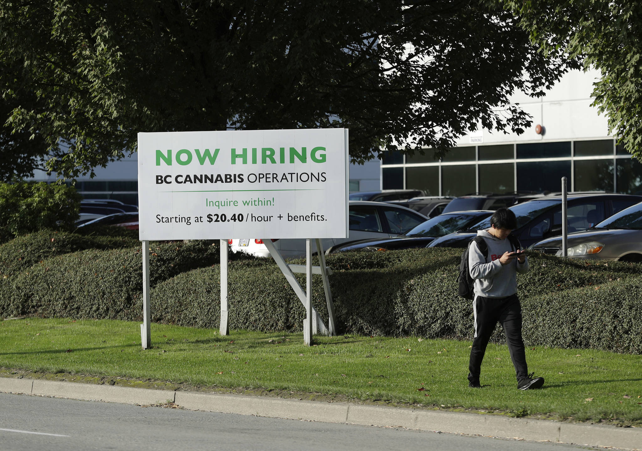 A pedestrian walks past a sign advertising jobs with BC Cannabis Operations in late September. (AP Photo/Ted S. Warren)