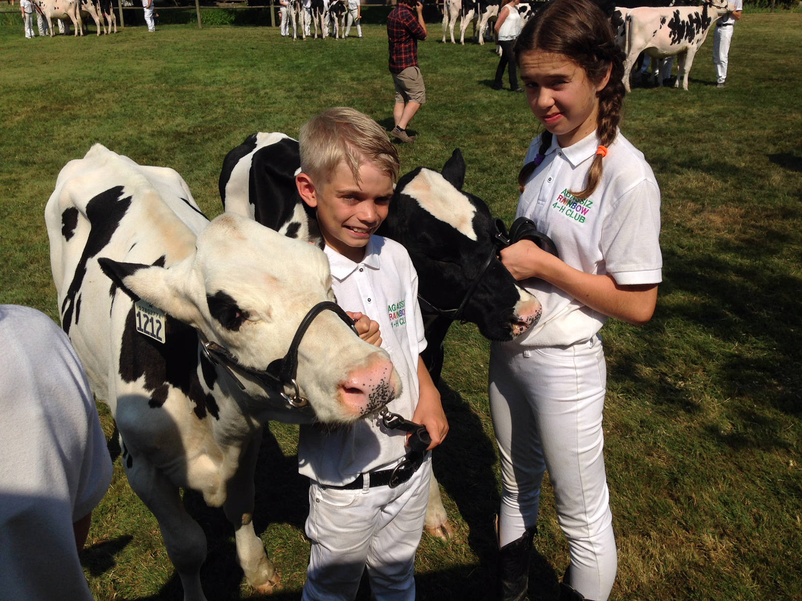 Alberta Farm Animal Care puts out call for award nominations