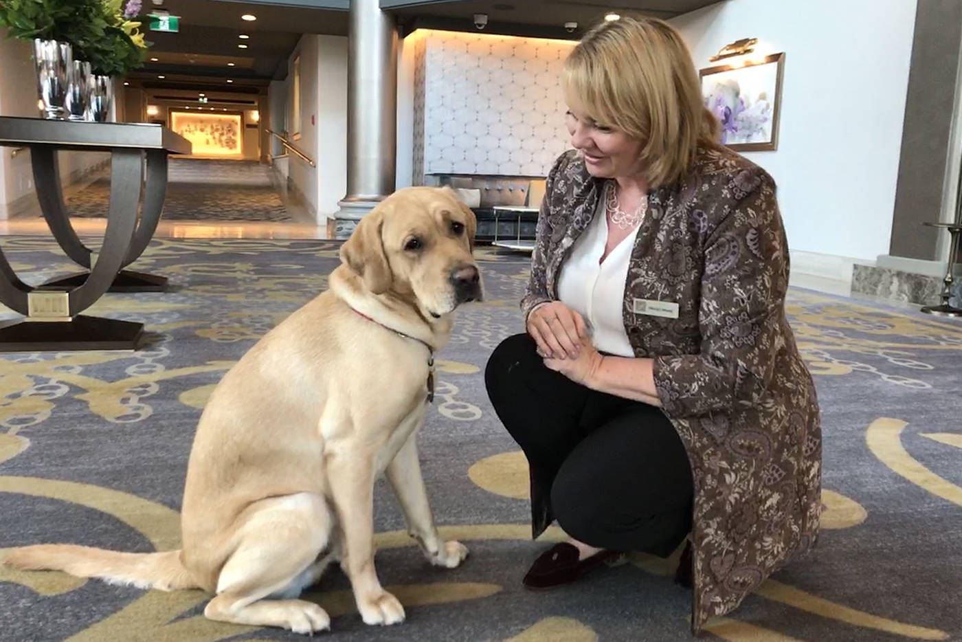 Winston officially started in his new role as canine ambassador at Fairmont Empress this week. Tracy Drake, director of Public Relations at Fairmont Empress, says he has received a warm welcome by both guests and staff. (Keri Coles/News staff)