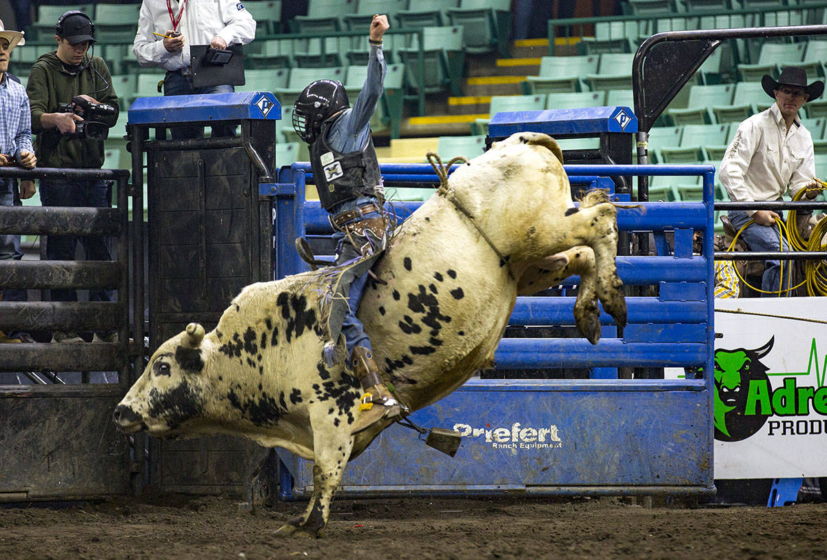 Junior bull rider Carter Sahli, 15, from Red Deer competes in the junior category at the Rebel Energy Services Bull Riding competition Saturday. Robin Grant/Red Deer Express