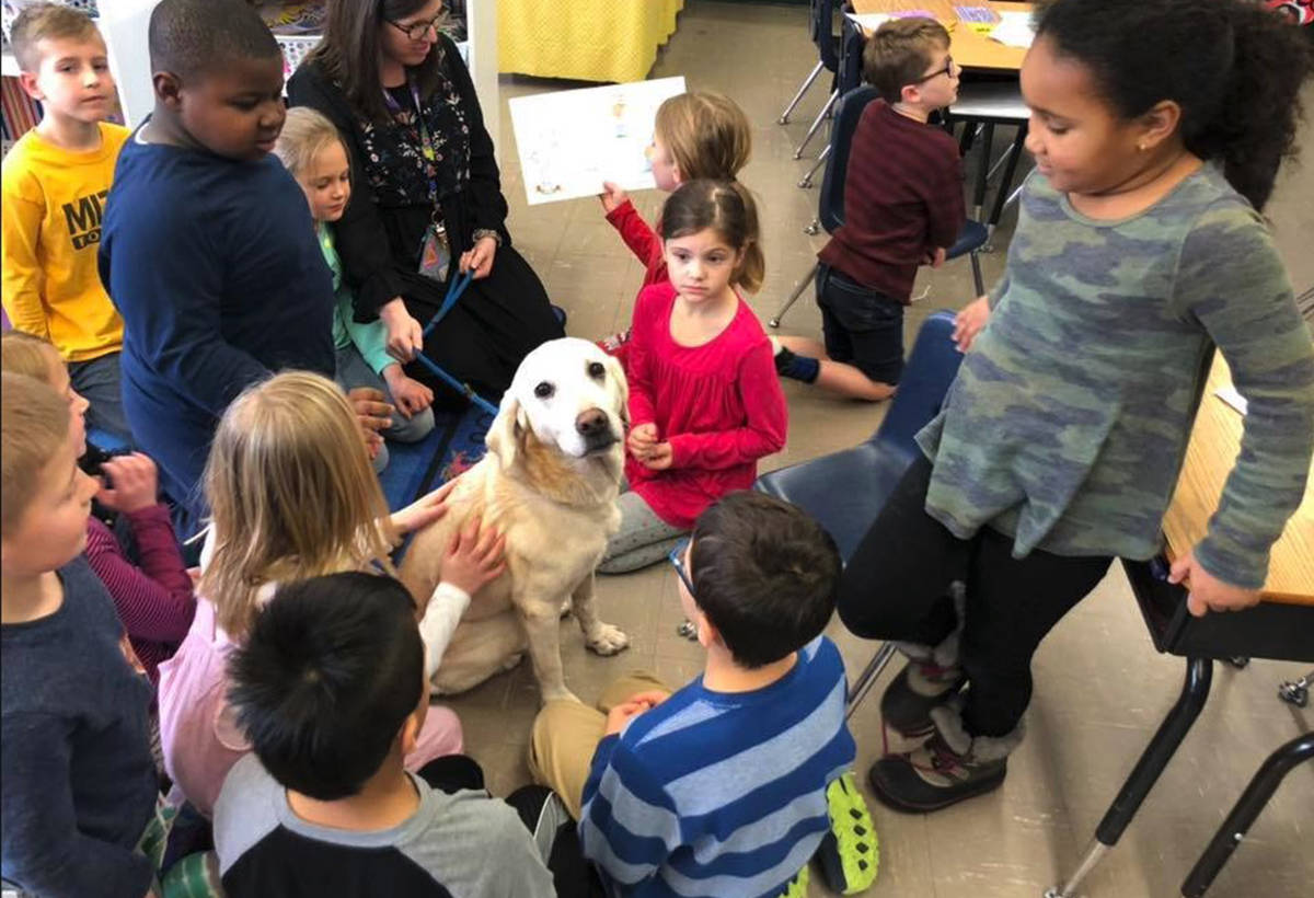 Foster family completing bucket list for dog dying of cancer