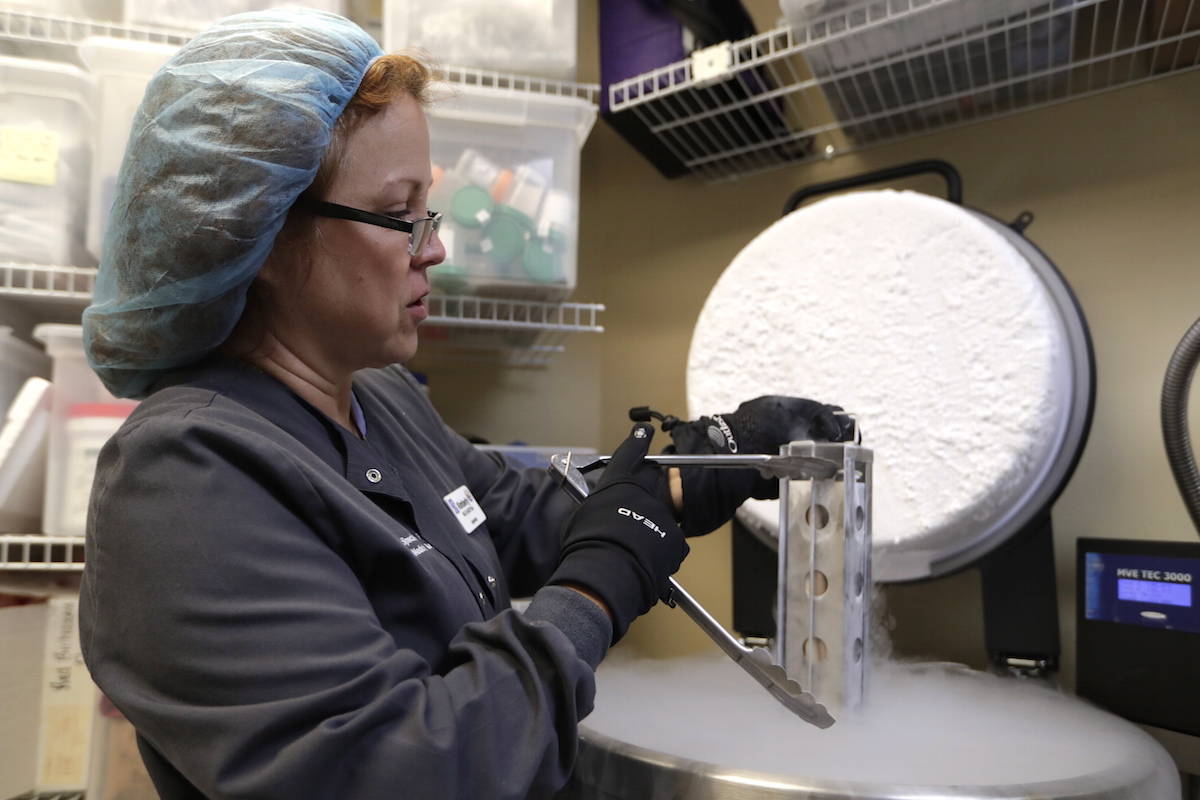 In this Tuesday, Oct. 2, 2018 photo, Kimberly Malm removes a container with frozen embryos and sperm being stored in liquid nitrogen at a fertility clinic in Fort Myers, Fla. (AP Photo/Lynne Sladky)