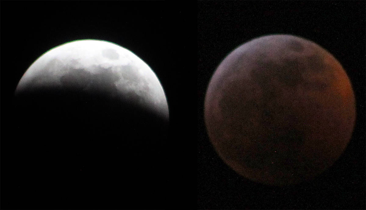 Lunar lights: Many in North America took in the lunar eclipse that occurred Sunday night. With most people’s eyes to the sky, viewers were given the treat of a super blood wolf moon. The next lunar eclipse is expected to arrive on May 2021. For those with no clouds in the sky, it was a real treat. These two photos show the eclipse almost covering the moon and then about 30 minutes later. Photos by Jeffrey Heyden-Kaye