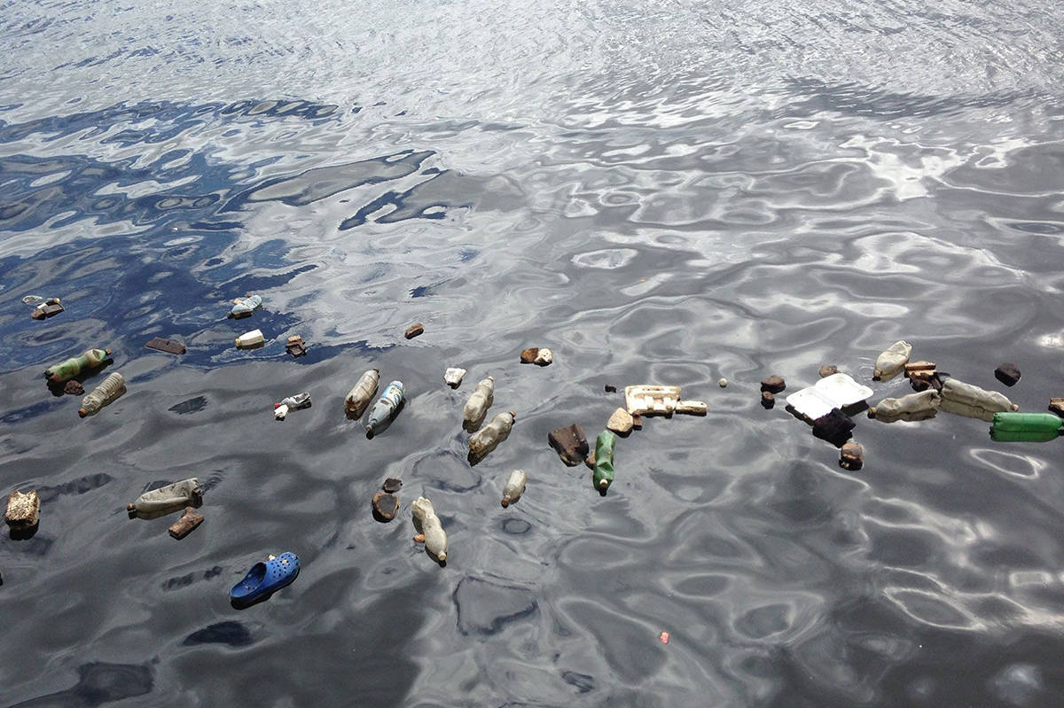 Plastics are a growing problem in our oceans. (davidsuzuki.org photo)