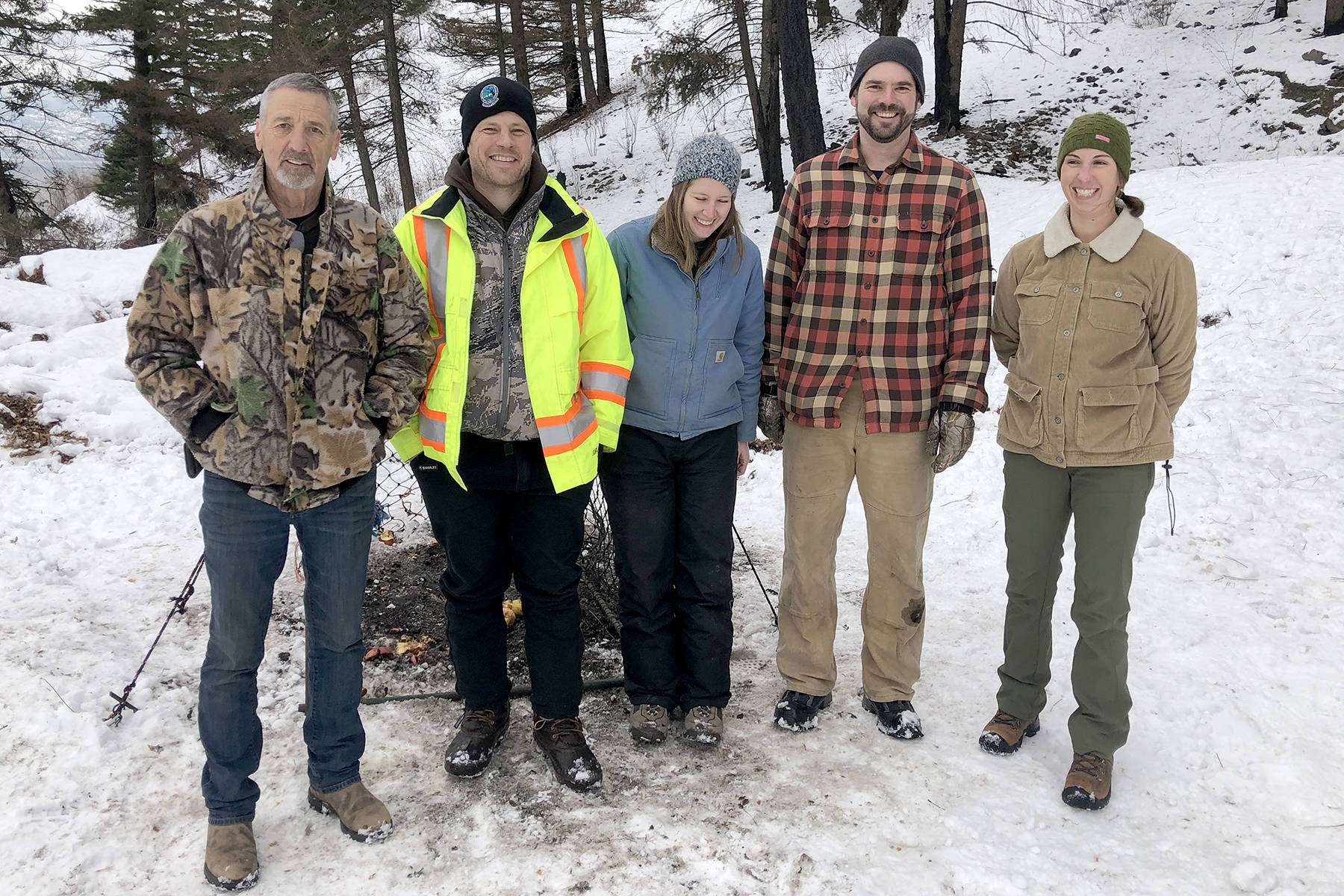 WORKING TOGETHER                                Many partners have been involved in the Southern Interior Mule Deer Project. From left are Dave Carleton of the Summerland Sportsmen’s Association; Andrew Walker of the Ministry of Forests, Lands, Natural Resource Operations and Rural Development; Chloe Wright, a graduate student at University of British Columbia Okanagan; Adam Ford, on staff at University of British Columbia Okanagan and Cailyn Glasser, a wildlife biologist with the Okanagan Nation Alliance.                                (John Arendt/Summerland Review)