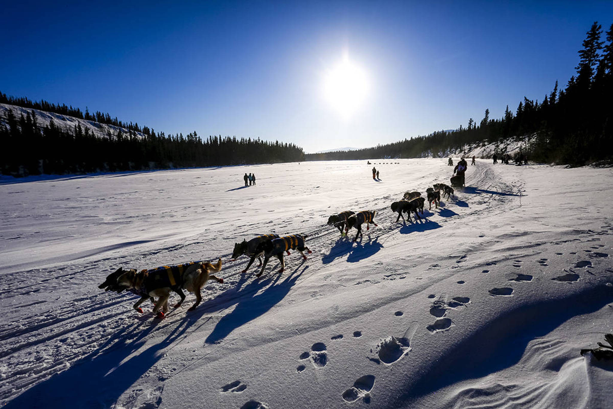 Allen Moore rides along the Yukon River during the 2017 Yukon Quest. (Joel Krahn/Yukon News file)